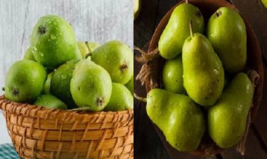 क्या रोज नाशपाती खा सकते हैं?