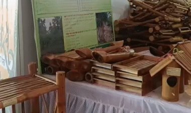 भोपाल के वन मेले में बिकीं 40 लाख की जड़ी-बूटियां:लोगों को खूब भाए मोटे अनाज-जौ से बने व्यंजन; आज शाम को होगा समापन