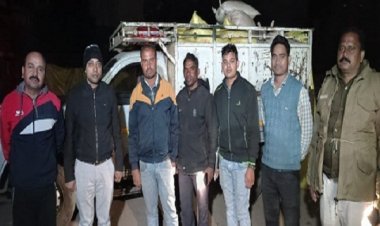 वाहन सहित 58 बोरी धान जप्त