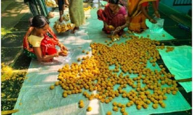 मंजू दीदी के लखपति दीदी बनने का सफर