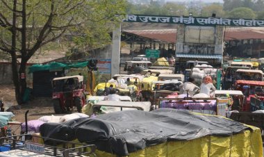 सीहोर में बारिश के चलते धान की खरीदी बंद:2 जनवरी से शुरू होगी; बुक स्लॉट की तारीख भी बढ़ाई, अब 23 तक होगी खरीदी