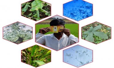 छत्तीसगढ़ में कृषि-पशुपालन को नई दिशा देने वाला उपकरण फोल्डस्कोप