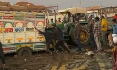 एमपी की पहली मटर मंडी दो दिन की बारिश में दलदल में तब्दील, एक करोड़ रुपए की मटर खराब, कई वाहन फंसे