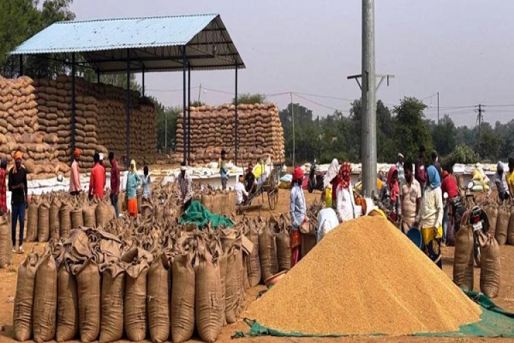 महासमुंद में अब तक 274341.76 टन धान खरीदी