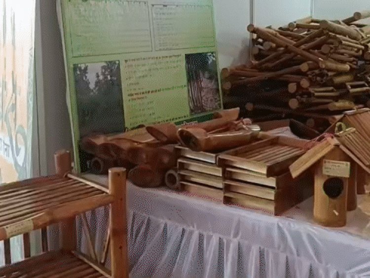 भोपाल के वन मेले में बिकीं 40 लाख की जड़ी-बूटियां:लोगों को खूब भाए मोटे अनाज-जौ से बने व्यंजन; आज शाम को होगा समापन