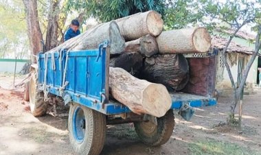 अवैध लकड़ी की तस्करी, प्रशासन ने किया जब्त