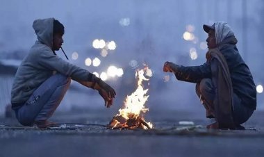 नए साल की शुरुआत से पहाड़ी राज्यों में हो रही बर्फबारी, UP व MP में कोहरे की मार