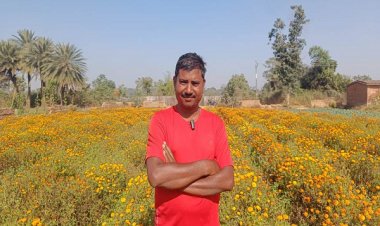 पारंपरिक खेती छोड़ परिमल ने शुरू की गेंदे की खेती, दुगुनी हुई कमाई