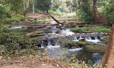 सैर-सपाटे के साथ पिकनिक का नया डेस्टिनेशन तिरिया