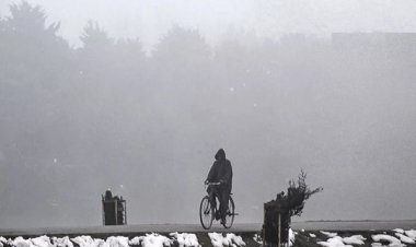 Delhi-UP में कोहरे बढ़ाई मुश्किलें, सैकड़ों उड़ानें व ट्रेन प्रभावित