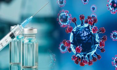 देश मेें पहुंचा खतरनाक वायरस, कर्नाटक में मिले HMPV के 2 केस, आईसीएमआर ने की पुष्टि अलर्ट जारी