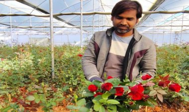 गुलाब की खेती से महक रहा है एबी अब्राहम का जीवन