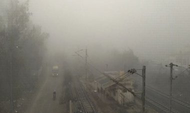 जबलपुर में ठंड से कंपकपाएं लोग, सुबह से छाया रहा कोहरा, 50 मीटर से कम रही विजिबिलिटी