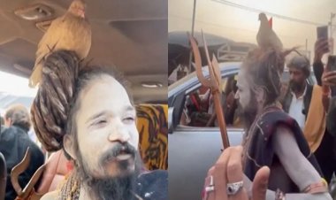 9 साल से बाबा की खोपड़ी पर बैठा है ये कबूतर