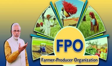 Farmers Producer Organisation (FPO): किसानों की समृद्धि का नया माध्यम