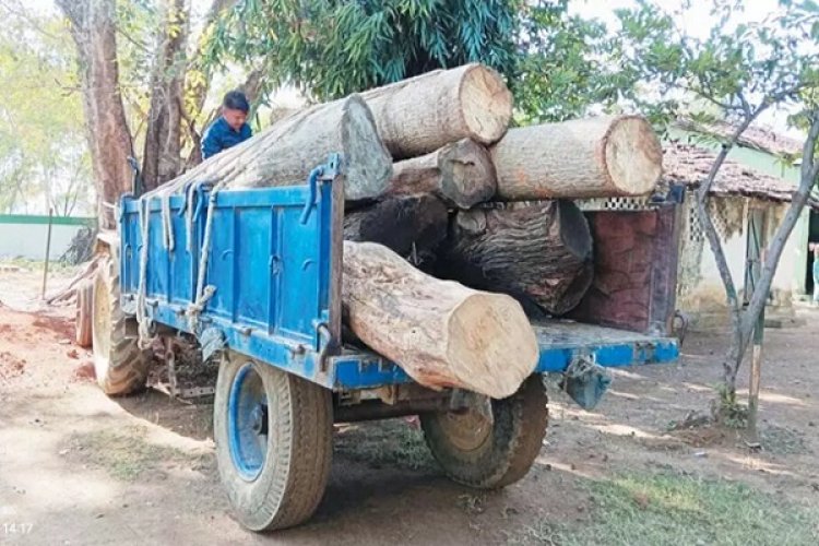 अवैध लकड़ी की तस्करी, प्रशासन ने किया जब्त