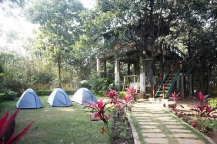 प्राकृतिक पर्यटन : वन चेतना केन्द्र मनगट्टा में वन्य जीवों के स्वतंत्र रूप से विचरण करने का आनंद ले रहे सैलानी