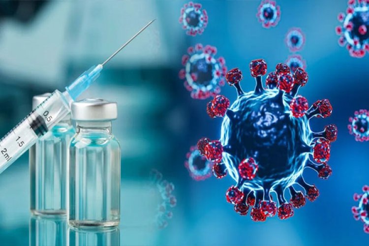 देश मेें पहुंचा खतरनाक वायरस, कर्नाटक में मिले HMPV के 2 केस, आईसीएमआर ने की पुष्टि अलर्ट जारी