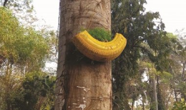 कबाड़ से जुगाड़ बन रहा है लोगो के लिए आकर्षण का केन्द्र