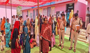 कलेक्टर-एसपी ने महाराष्ट्र सीमा क्षेत्र के मतदान केंद्रों का किया निरीक्षण