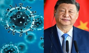 चीन में मिला नया बैट कोरोनावायरस, इंसानों में फैलने की आशंका