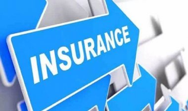 बीमा अफसर समझ ठग को दो साल तक रुपये देती रही प्रोफेसर, 96 लाख रुपये गंवाए