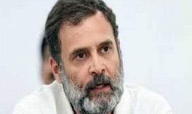 छोटे निवेशकों के हित में पारदर्शी बाजार नियामक जरूरी: राहुल