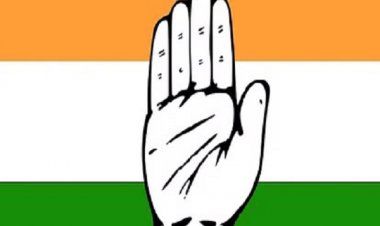 साय सरकार के बजट ने निराश किया : कांग्रेस