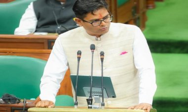 बजट 2025: पेट्रोल के दाम घटेंगे, महतारी वंदन योजना के लिए 5500 करोड़ का प्रावधान...