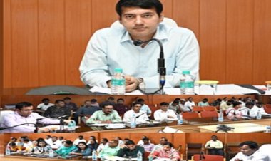 कलेक्टर ने ली साप्ताहिक समय सीमा की बैठक