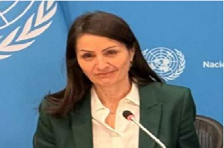 शांतिरक्षा मिशनों पर उच्च स्तरीय बहस आयोजित करेगा: संरा