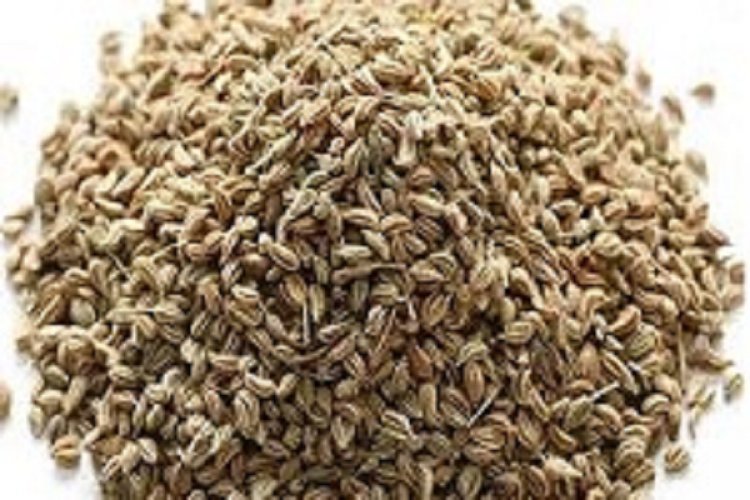 औषधीय गुणों से भरपूर है अजवाइन