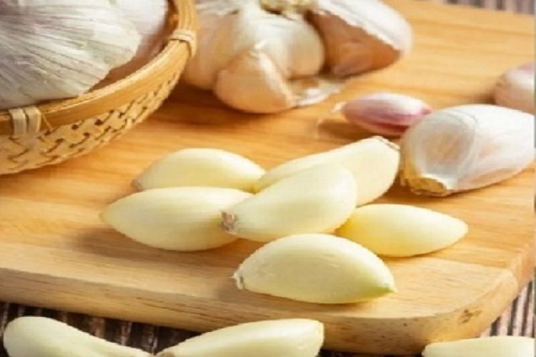 सुबह खाली पेट लहसुन खाने से बैड कोलेस्ट्राल होता है कंट्रोल