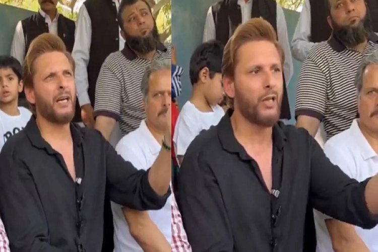 Shahid Afridi के भारत के खिलाफ बयान पर भड़का हिंदू मूल का पाकिस्तानी क्रिकेटर, धर्मांतरण पर किया बड़ा खुलासा