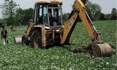 जबलपुर-इंदौर-बुधनी रेल प्रोजेक्ट में अधिग्रहित 29 किसानों के खेतों में खड़ी मूंग फसल पर प्रशासन ने चलाई जेसीबी
