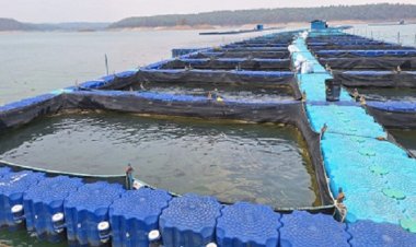 हसदेव-बांगो डूबान क्षेत्र में बनेगा छत्तीसगढ़ का पहला एक्वापार्क