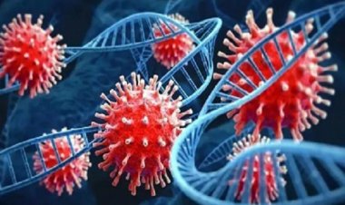 रायपुर के बाद दुर्ग में भी मिला एक कोरोना संक्रमित