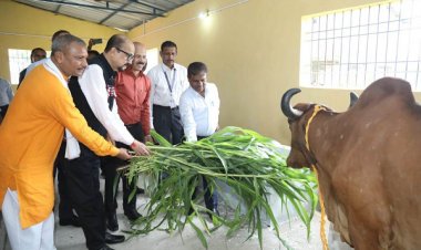 राज्यपाल ने किया गौशाला का लोकार्पण, महिला स्व सहायता समूह से की चर्चा