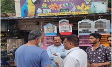 पालतु पशु दुकानों का औचक निरीक्षण : नियमों के उल्लंघन पर कार्रवाई की चेतावनी