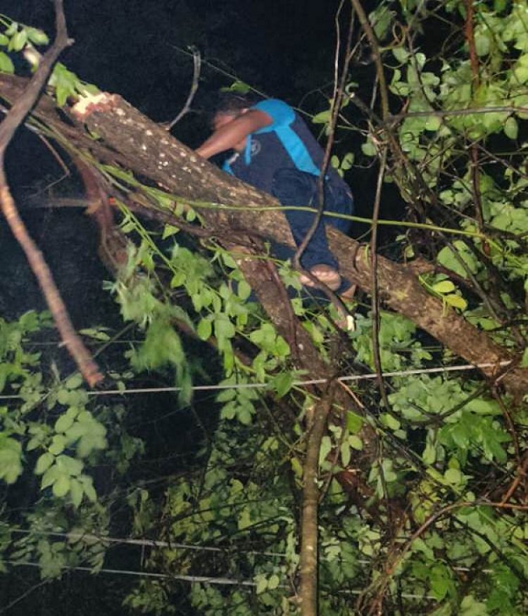 छत्तीसगढ़ में बेमौसम बारिश ने ली तीन लोगों की जान