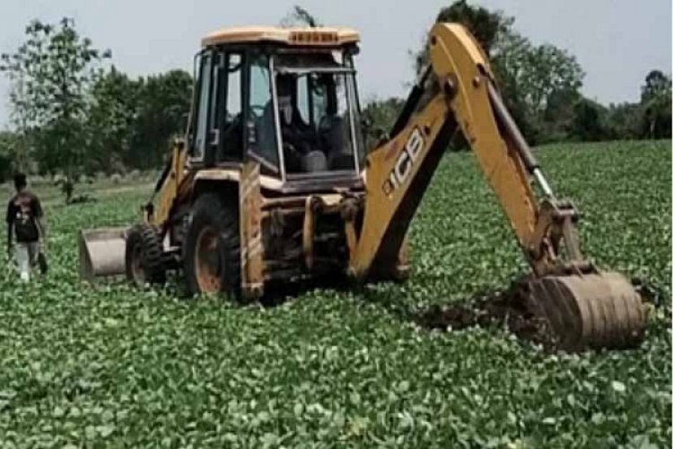 जबलपुर-इंदौर-बुधनी रेल प्रोजेक्ट में अधिग्रहित 29 किसानों के खेतों में खड़ी मूंग फसल पर प्रशासन ने चलाई जेसीबी