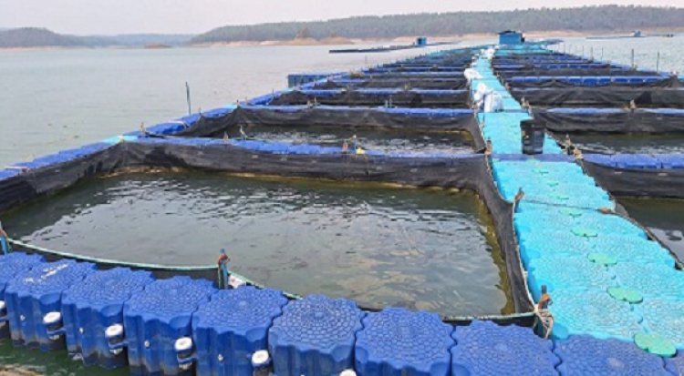 हसदेव-बांगो डूबान क्षेत्र में बनेगा छत्तीसगढ़ का पहला एक्वापार्क