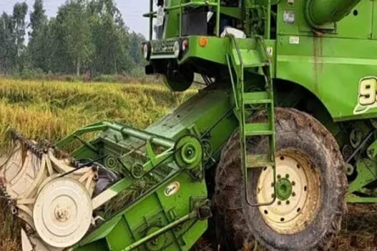 धान कटाई के दौरान हादसा, हार्वेस्टर में दौड़ा करंट