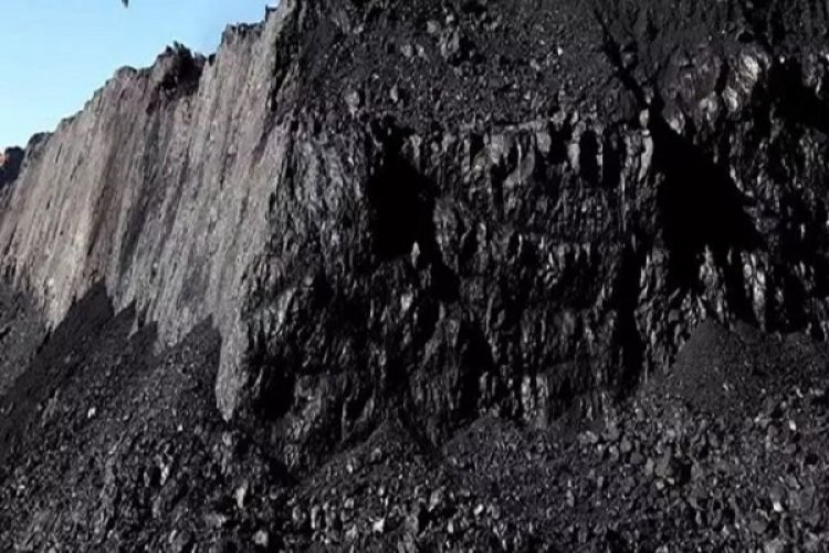 कोयला खदान धसने से 2 युवकों की मौत