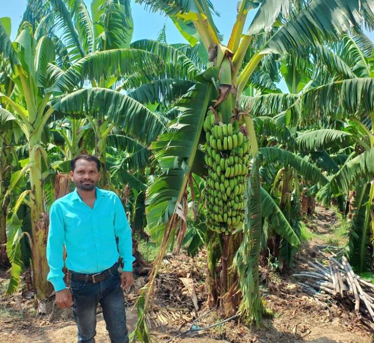 कुण्डेल के सुरेश को केले की खेती ने दिलाई अलग पहचान