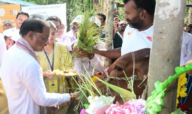 मुख्यमंत्री ने दुधारू पशु प्रदाय योजना का किया शुभारंभ