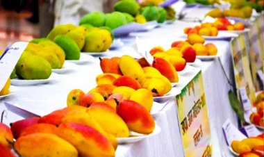 राष्ट्रीय आम महोत्सव 6 जून से: 200 से अधिक किस्में और 56 व्यंजन होंगे आकर्षण का केंद्र