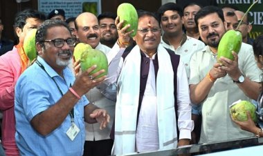 आम की खेेती किसानों की आय बढ़ाने में मददगार: मुख्यमंत्री साय