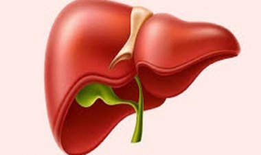 खाने-पीने की इन चीजों का सेवन करने से बचें