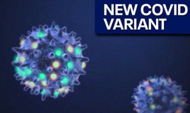कोरोना के नए वेरिएंट XFG ने बढ़ाई चिंता, राज्य सरकार ने जारी की एडवाइजरी